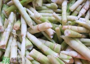 香椿芽和什么东西不能一起吃,椿芽不能和什么一起吃 香椿芽和什么东西不能一起吃,椿芽不能和什么一起吃