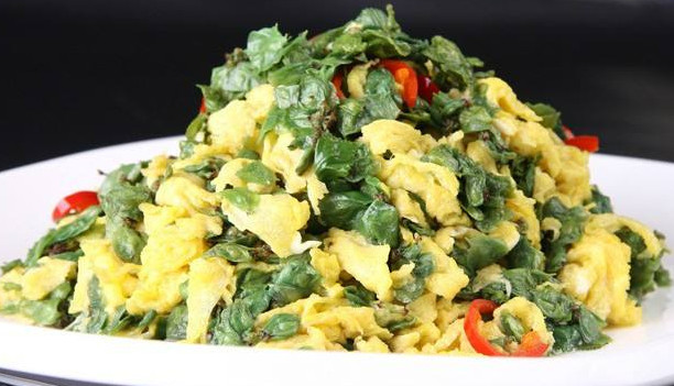 榆钱能炒鸡蛋吗,炒榆钱的做法