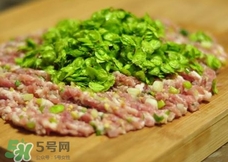 榆黄蘑包饺子的做法 榆黄蘑包饺子的做法