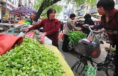 榆钱能吃吗,榆钱的功效