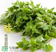 枸杞头怎么吃,枸杞头怎么吃最好 枸杞头怎么吃,枸杞头怎么吃最好