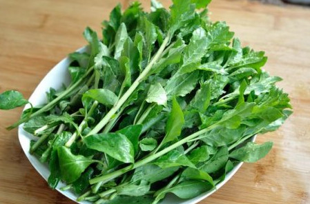 枸杞头是什么样子的,枸杞头图片