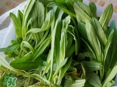 焯菜的水能煮面条吗,面条要不要焯水