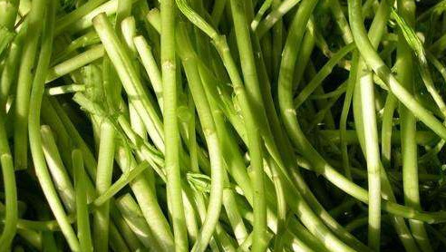 藜蒿的叶子能不能吃,藜蒿叶子的功效和禁忌