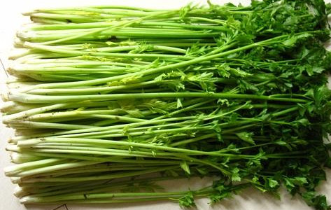 水芹菜如何保鲜,水芹菜怎么保存