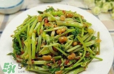 吃水芹菜有什么好处和坏处,吃水芹菜有什么好处含什么维生素