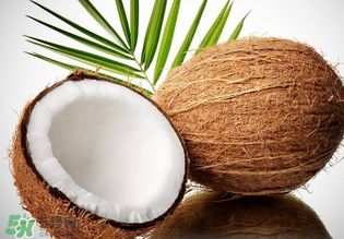 椰青和椰皇有什么区别,椰青好还是椰皇好