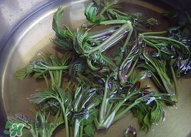 香椿为什么要用开水烫一下,香椿为什么要用热水焯一下