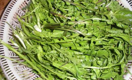 地菜是什么菜图片,湖北的地菜是什么菜