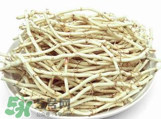 新鲜鱼腥草怎么煮水喝,新鲜鱼腥草怎么煮水? 新鲜鱼腥草怎么煮水喝,新鲜鱼腥草怎么煮水?