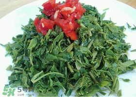 香椿生吃有毒吗,香椿苗生吃有毒吗 香椿生吃有毒吗,香椿苗生吃有毒吗