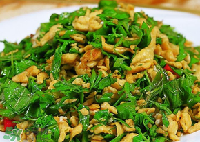 干香椿芽怎么做好吃,香椿是什么菜