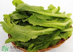 苦菜的营养价值和功效,苦菜的功效和作用