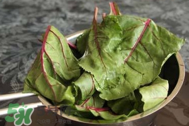 甜菜根是什么菜,什么是甜菜