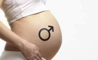 豆瓣菜是什么菜图片,豆瓣菜是什么菜图片怎么做