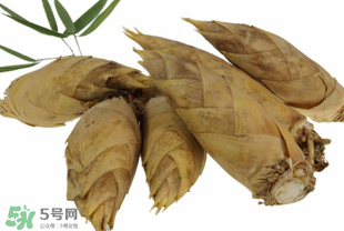 竹笋什么时候长出来发芽,竹笋什么时候长出来的