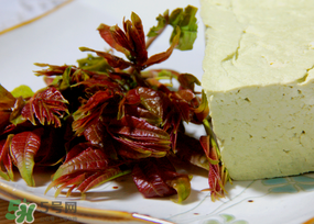 香椿为什么苦涩,香椿为什么苦