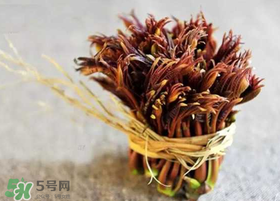 香椿几月份可以吃,香椿几月份可以吃?香椿什么时候吃?