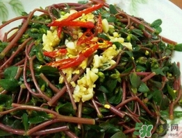 马齿苋开花了还能吃吗,马齿苋能不能吃