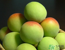 泡酒的青梅什么时候成熟,诏安青梅什么时候成熟