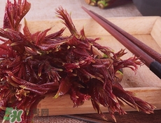 香椿芽怎么凉拌好吃,香椿芽的吃法大全凉拌