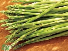 龙须菜的营养价值和功效,龙须菜的营养和功效