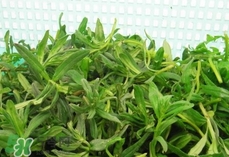 面条是碱性食物还是酸性食物,面条都是碱性食物吗