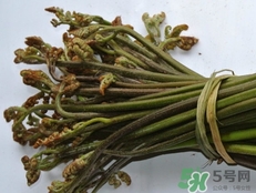 猫爪子菜的食用和功效,猫爪子野菜的功效