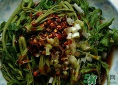 香椿芽如何长期保鲜存放,香椿芽保存方法和步骤