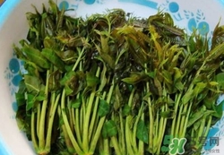 腌制好的香椿芽怎么做才好吃,腌的香椿芽怎么做好吃 腌制好的香椿芽怎么做才好吃,腌的香椿芽怎么做好吃