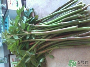 刺苔怎么吃,苔条怎么吃