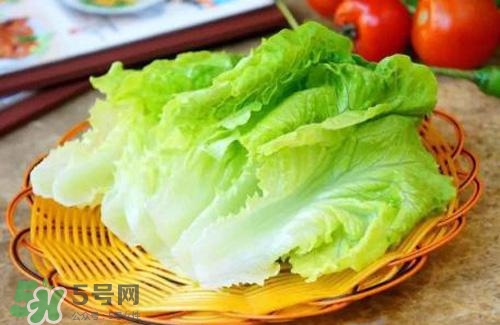 能放冰箱的蔬菜有哪些,洗过的生菜可以放冰箱吗