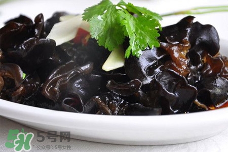 痛风患者可以吃木耳吗?,痛风可以吃折耳根吗