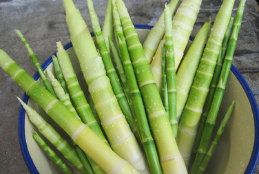 春笋怎么做不苦不涩,春笋怎么做不苦涩