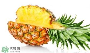 怎样挑选菠萝蜜,怎么挑菠萝蜜?什么样的好