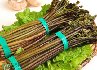 蕨菜致癌吗是真的吗,蕨菜是致癌物是真的吗?