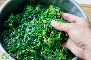 正宗芥菜的腌制方法,传统芥菜的腌制方法 正宗芥菜的腌制方法,传统芥菜的腌制方法