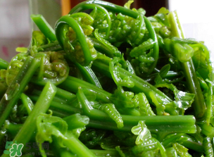 蕨菜什么人不能吃,蕨菜什么人不能吃和什么不能一起煮