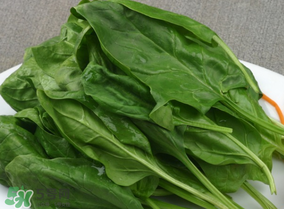 用菠菜汁和面菠菜还用焯水吗,菠菜榨汁和面要焯水吗 用菠菜汁和面菠菜还用焯水吗,菠菜榨汁和面要焯水吗