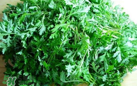 蒿子什么时候有,蒿子什么时候有花粉 蒿子什么时候有,蒿子什么时候有花粉