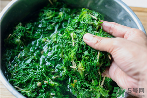 荠菜有草酸吗?用开水烫吗?,荠菜有草酸吗吃时焯水吗