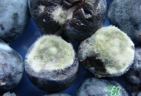 蓝莓发霉了还能吃吗,蓝莓发霉了其他的还能吃吗