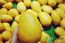 芒果是低糖水果吗,芒果是高糖分水果吗 芒果是低糖水果吗,芒果是高糖分水果吗