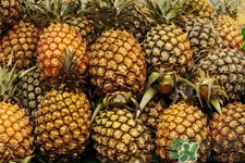菠萝是低糖水果吗,菠萝是高糖水果吗 菠萝是低糖水果吗,菠萝是高糖水果吗