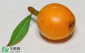 枇杷叶和葱煮水,葱头枇杷叶可以一起煮吗