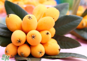 枇杷能和鸡蛋一起吃吗?,枇杷可以和鸡蛋一起吃吗