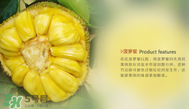 榴莲和菠萝蜜图片,哪里的菠萝蜜最好吃? 榴莲和菠萝蜜图片,哪里的菠萝蜜最好吃?