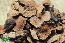 何首乌的营养价值,何首乌的营养价值和药用价值 何首乌的营养价值,何首乌的营养价值和药用价值