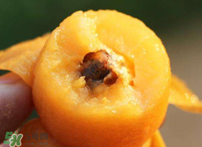 枇杷怎么保存时间长,新鲜枇杷怎么保存