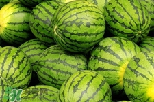 西瓜放冰箱需要保鲜膜吗是真的吗,西瓜用保鲜膜放冰箱可以放几天 西瓜放冰箱需要保鲜膜吗是真的吗,西瓜用保鲜膜放冰箱可以放几天